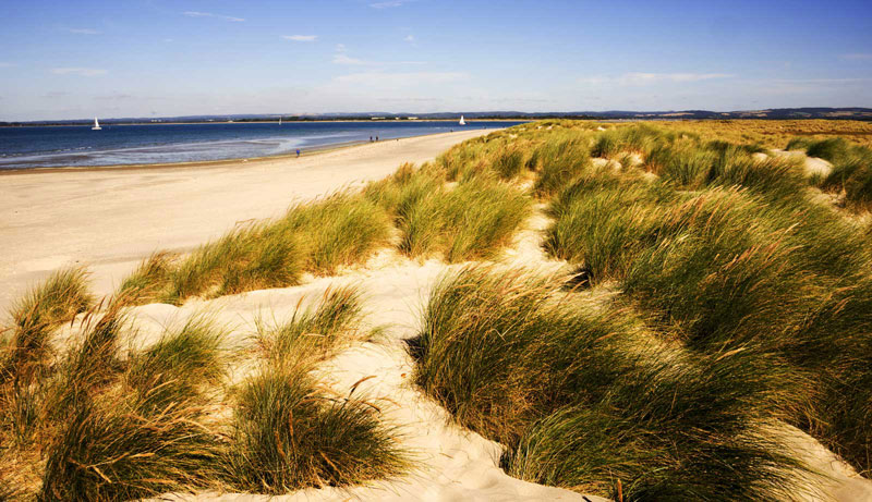 nojs Sand dunes and sandy beach with blue sea in background