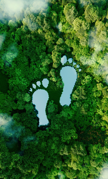 An aerial view of a forest and clouds with two large lake-like footprints to represent carbon footprint.