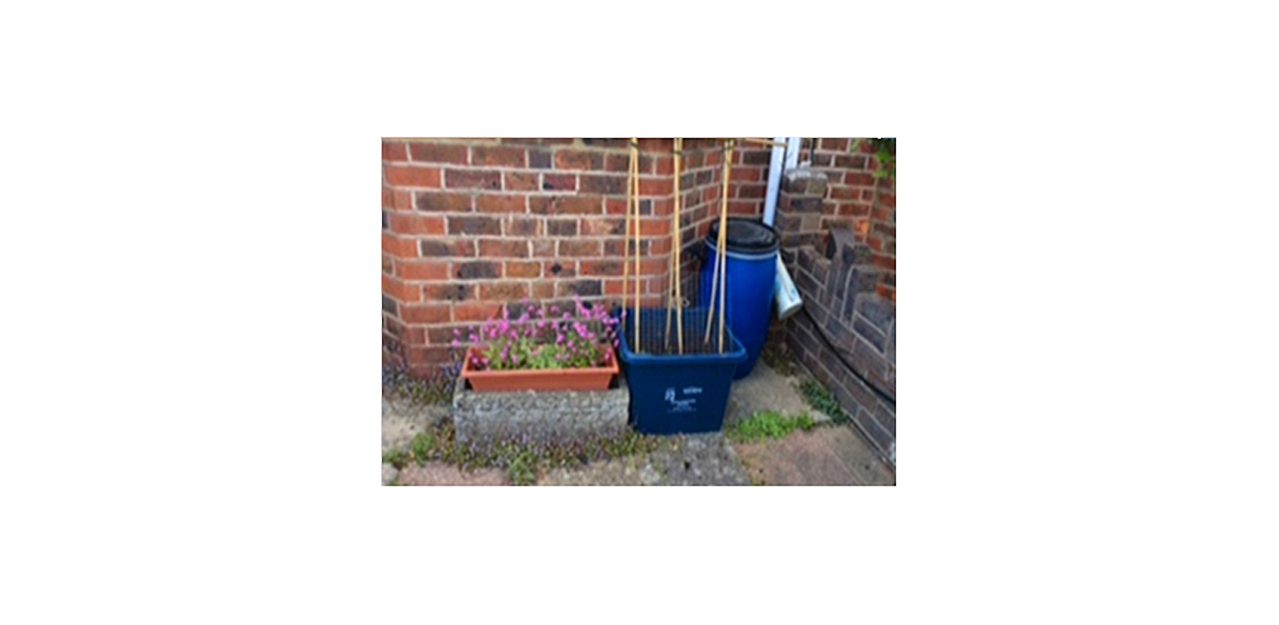 nojs Recycling box used as a tomato planter, reused planter for flowers and a barrel used as a water butt.