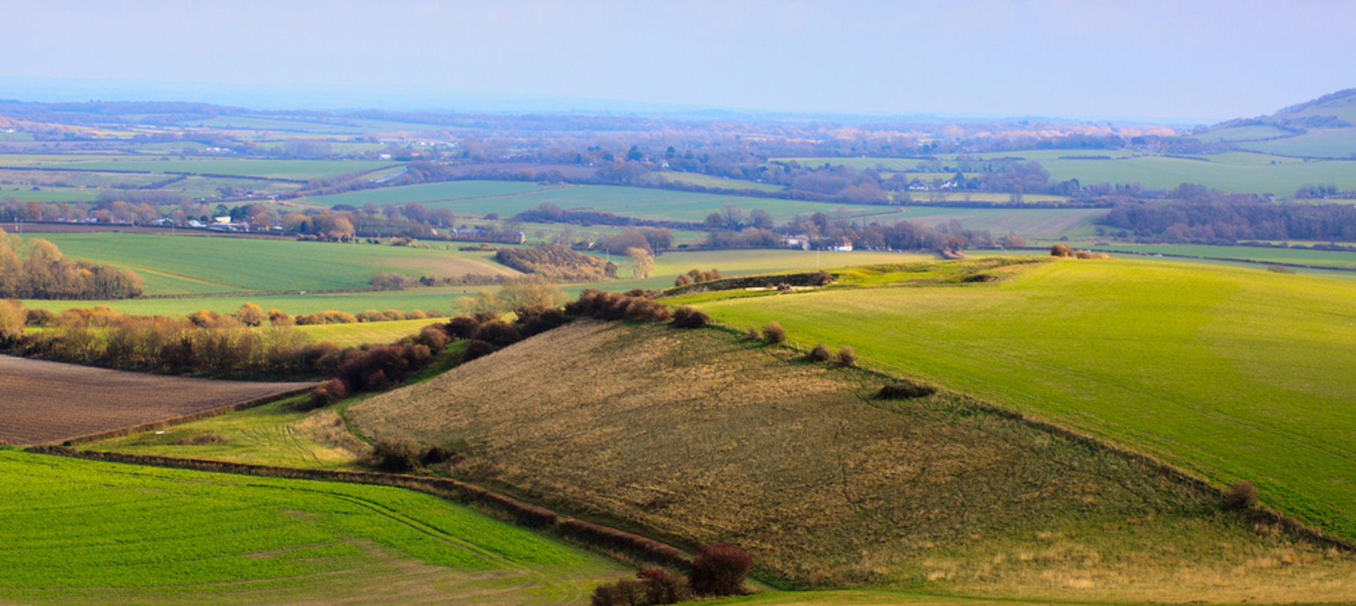 nojs rolling hills