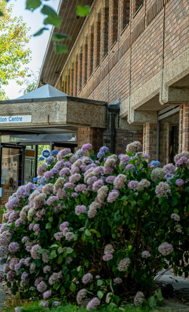 Photo of the outside of Horsham Library