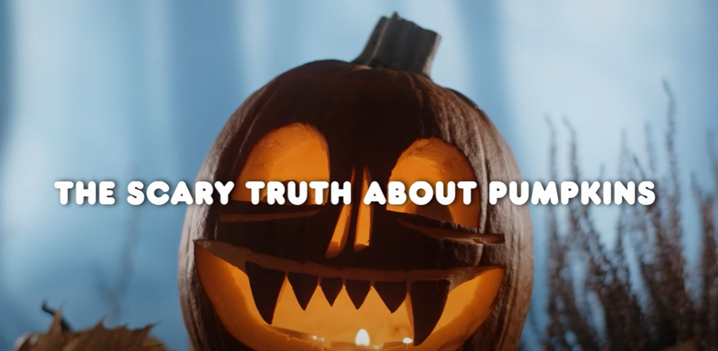 The scary truth about pumpkins